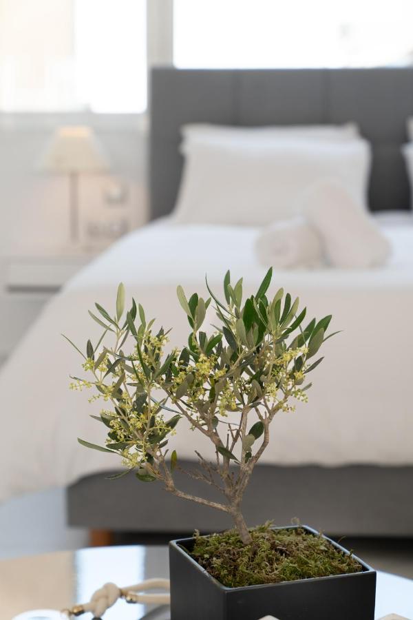אתונה Olvar Suites מראה חיצוני תמונה