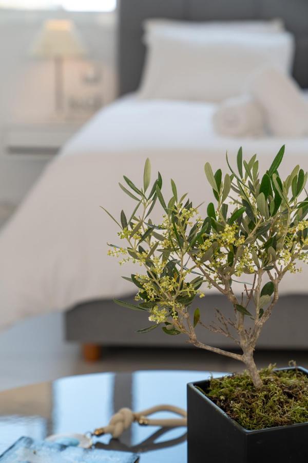 אתונה Olvar Suites מראה חיצוני תמונה