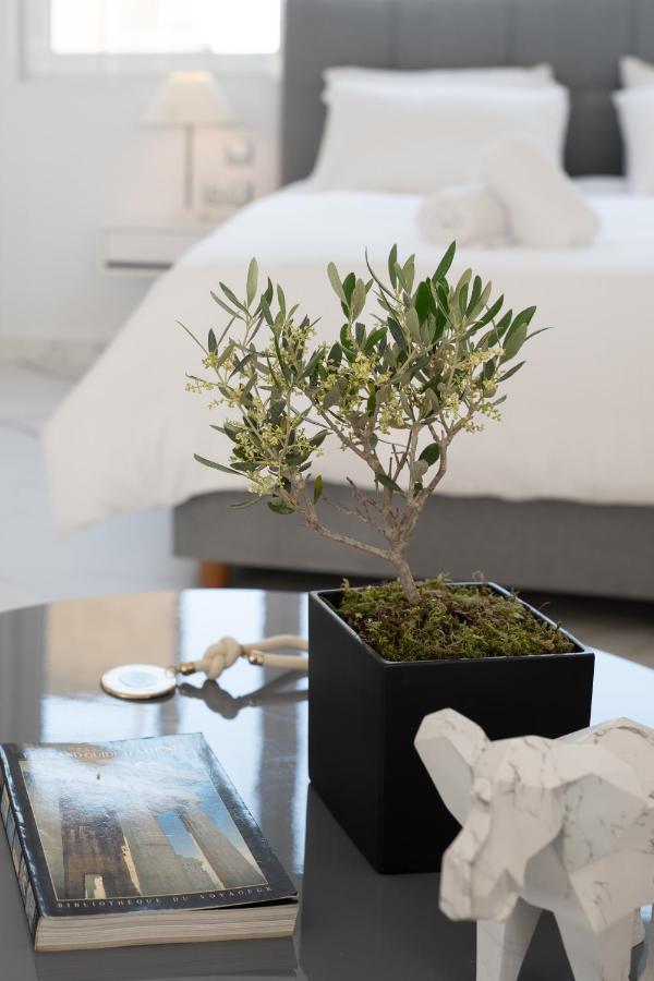 אתונה Olvar Suites מראה חיצוני תמונה